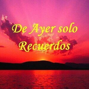 Meet your Posher, Silvia